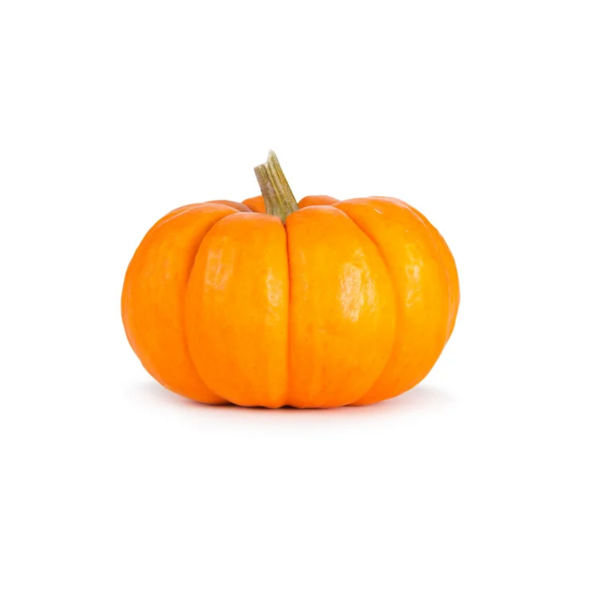 Mini Pumpkin Kg