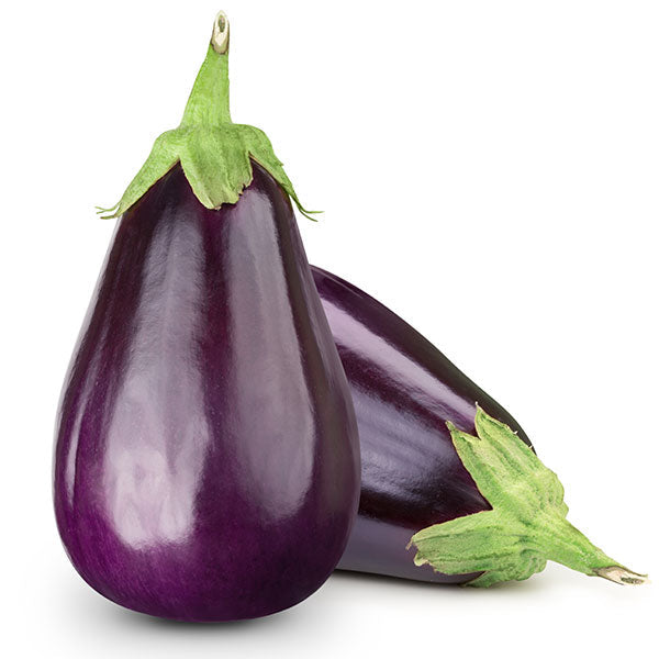 Berinjela