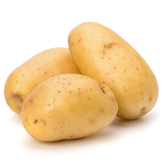 Batata Comum